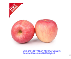 Netherlands Wholesale Fuji Apples