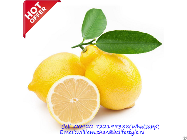 Netherlands Wholesale Lemons