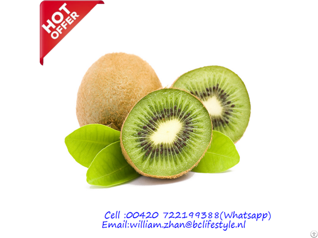 Netherlands Wholesale Kiwi Fruits