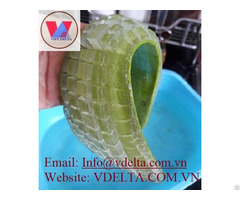 Fresh Aloe Vera Leaf From Viet Nam