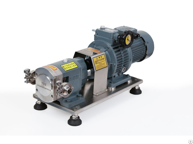 Stainless Steel Ss316l Food Grade High Pressure Rotary Pump