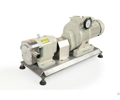 Sanitary Stainless Steel Chocolate Rotary Pumps For Honey