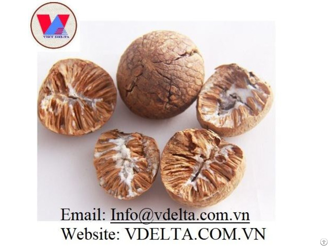 Dried Betel Nut Hight Quality Original Vietnam