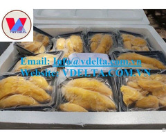 Origin Vietnamfrozen Durian