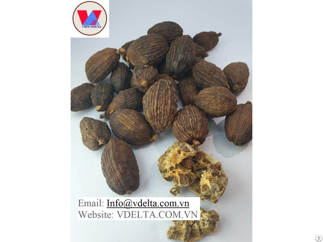 Black Cardamom For Sale Best Product From Vietnam