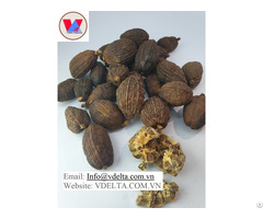 Black Cardamom For Sale Best Product From Vietnam