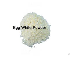 Egg White Powder Allbumen