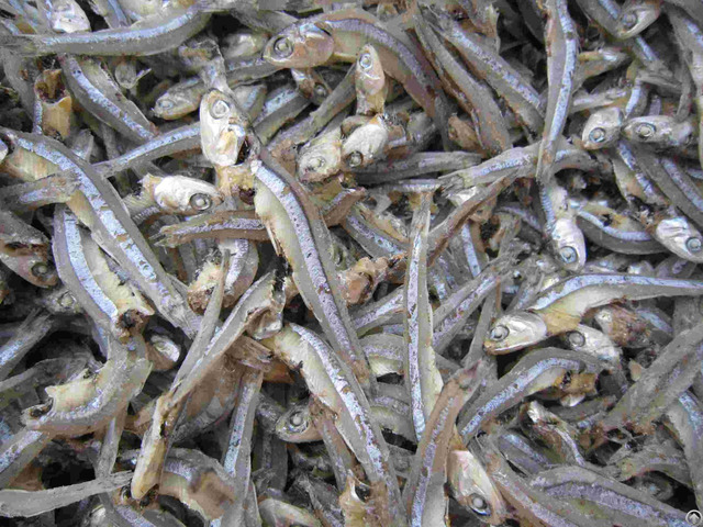 Anchovy Fresh Dried Frozen