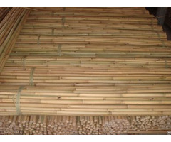 Bamboo Tonkin Craft