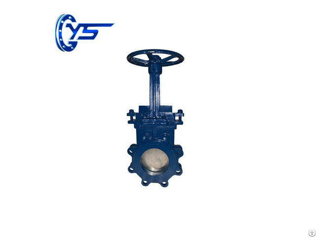 Dn 50 600mm Rising Stem Knife Gate Valve