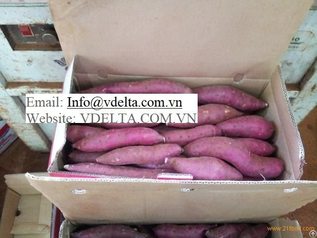 The Highest Quality Sweet Potatoes Vietnam