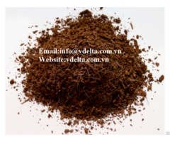 High Quality Coconut Peat Vdelta