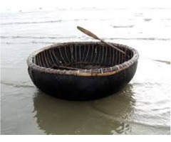 Brown Bamboocoracle