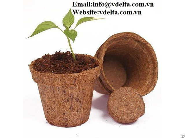 High Quality Coconut Coir Planters Vdelta