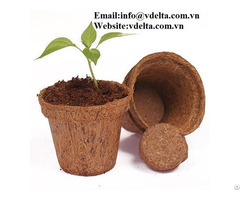 High Quality Coconut Coir Planters Vdelta