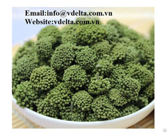 High Quality Dried Ginseng Vdelta