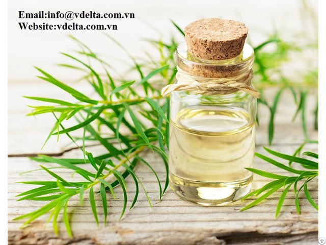 High Quality Tea Tree Oil Vdelta