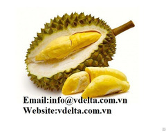 High Quality Frozen Durian Viet Delta