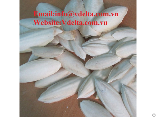 High Quality Cuttle Fish Viet Delta