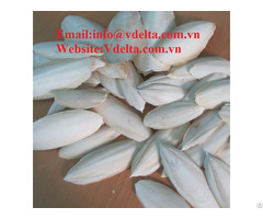 High Quality Cuttle Fish Viet Delta