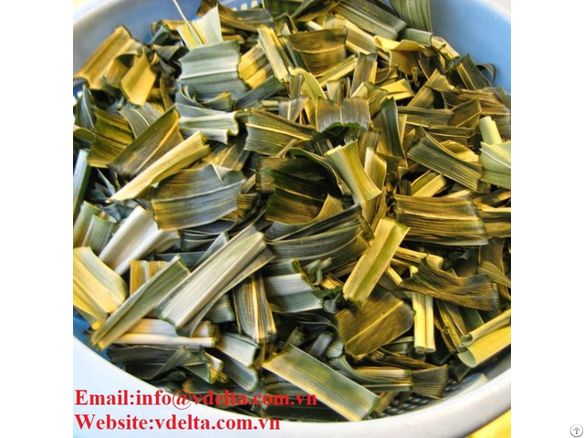 High Quality Dried Pandan Leaf Viet Delta