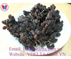 Black Dried Grapes From Vietnam
