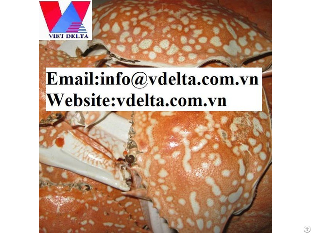 High Quality Dried Crab Shell Vdelta