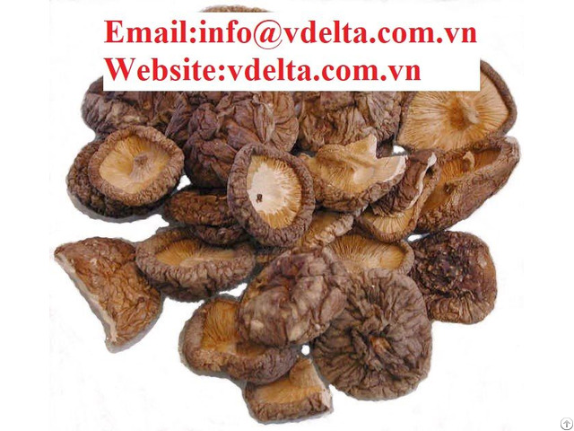 High Quality Dried Shiitake Mushroom Vdelta