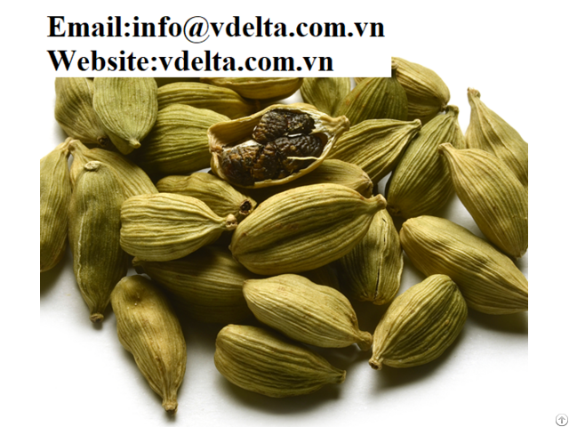 Natural High Quality Cardamom From Viet Nam