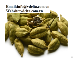 Natural High Quality Cardamom From Viet Nam