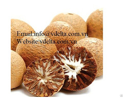 Premium Quality Natural Dried Betel Nut