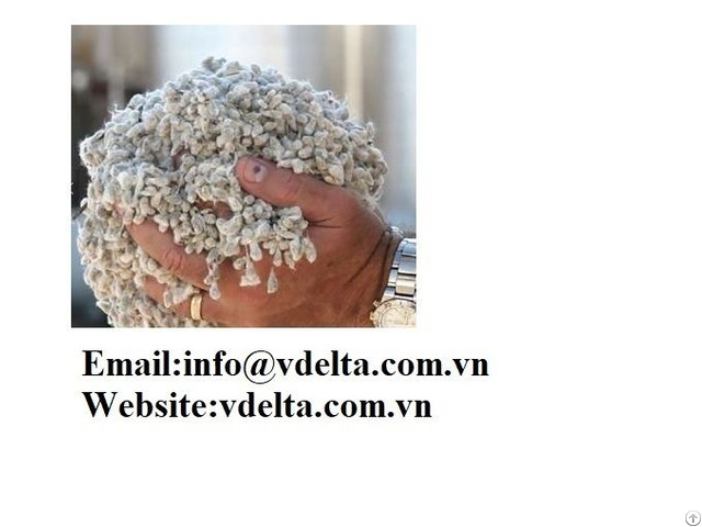 High Quality Cotton Seeds Vdelta
