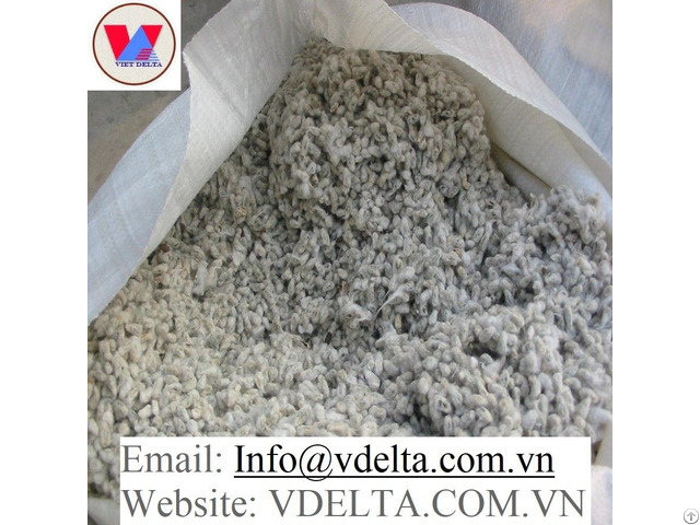 Cotton Seed For Animal Feed