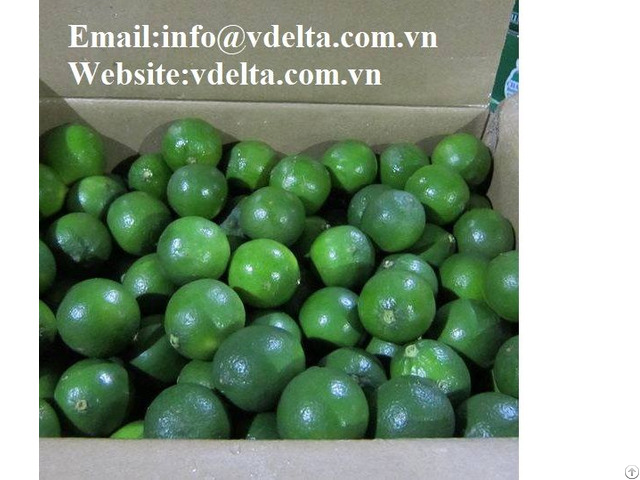 High Quality Fresh Seedless Lemon Vdelta