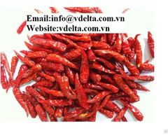High Quality Dried Red Hot Chili
