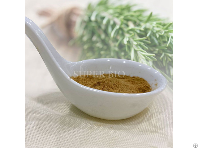 Rosemary Extract Manufacturer