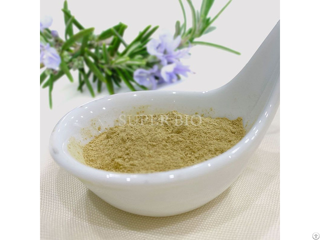 Pure Rosemary Extract