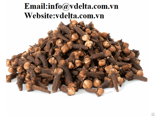 Dried Cloves Cheap Price From Vietnam