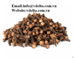 Dried Cloves Cheap Price From Vietnam