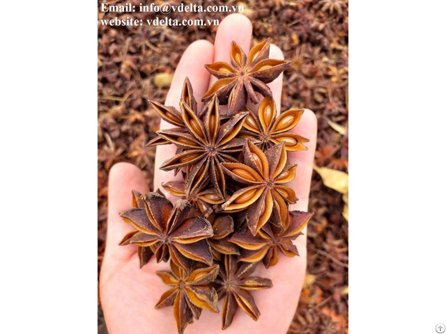 High Quality Star Anise In Spices