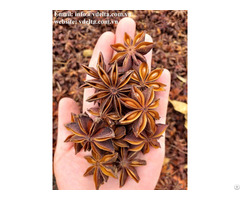 High Quality Star Anise In Spices