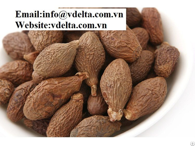 Dried Malva Nuts Vietnam