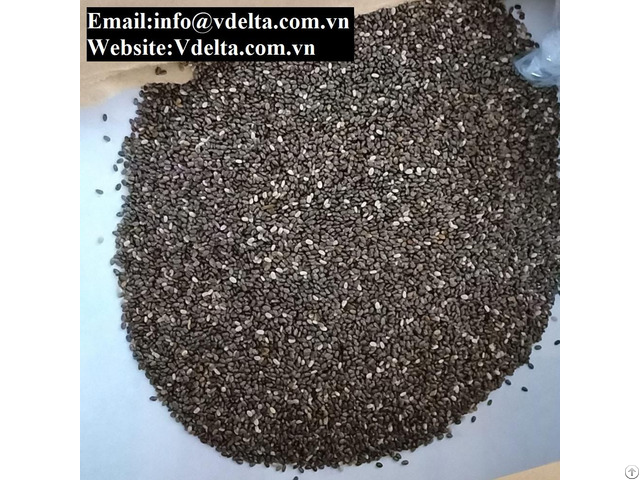 High Quality Chia Seeds Viet Nam