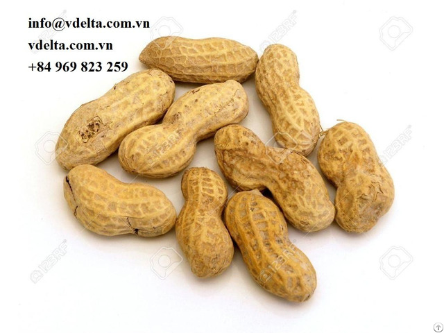 Natural Raw Peanuts