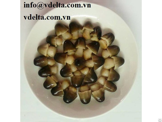 Salted Straw Mushroom Vdelta