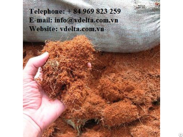 Cocopeat Vietnam