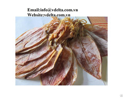 Natural High Quality Dried Cuttlefish From Viet Nam