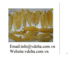 Dried Fish Maw Vdelta