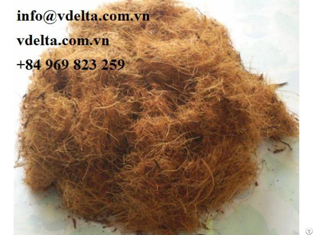 Coconut Fibre