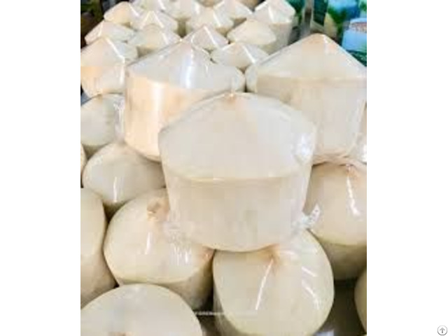 Good Quality Frozen Coconut Meat With The Best Price